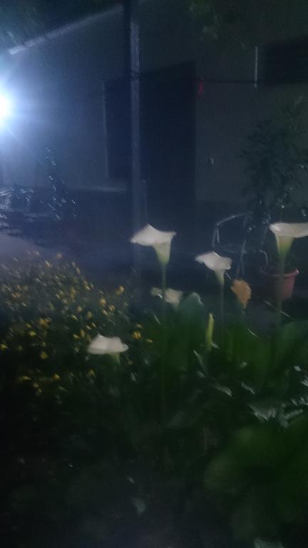 Camping Late Gjirokastër Exterior foto