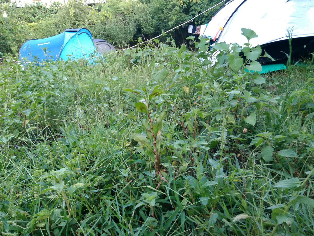 Camping Late Gjirokastër Exterior foto